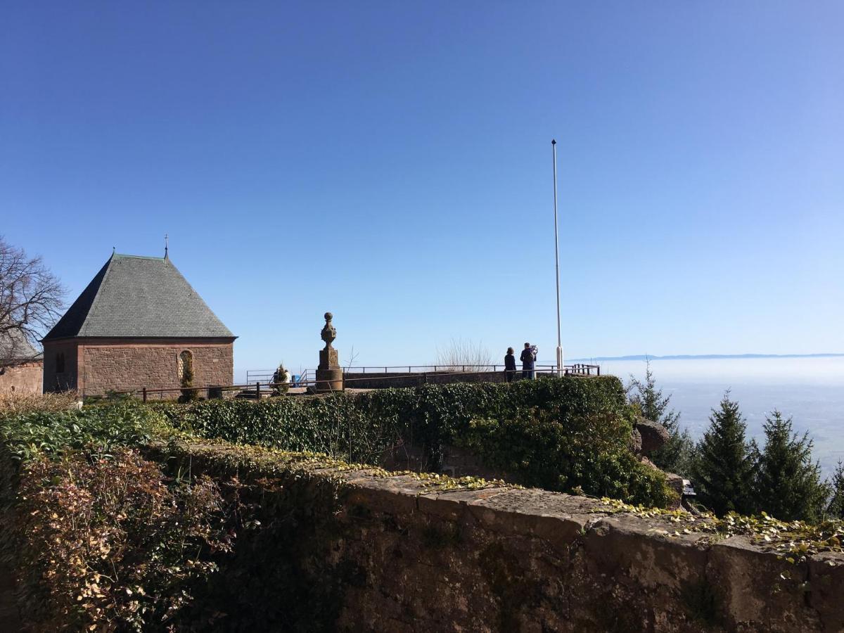 Hotel-Restaurant Mont Sainte-Odile オットロット エクステリア 写真