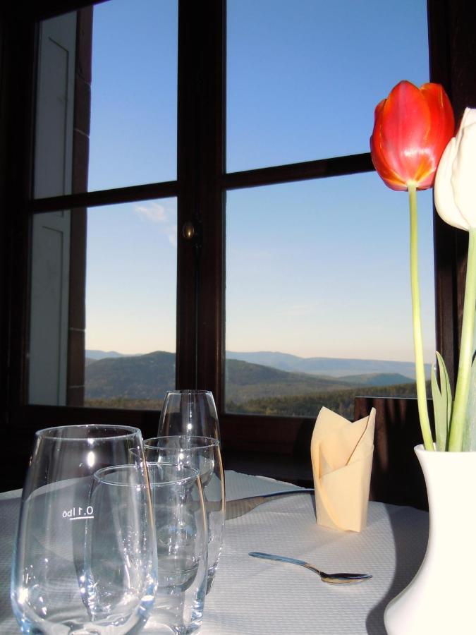 Hotel-Restaurant Mont Sainte-Odile オットロット エクステリア 写真